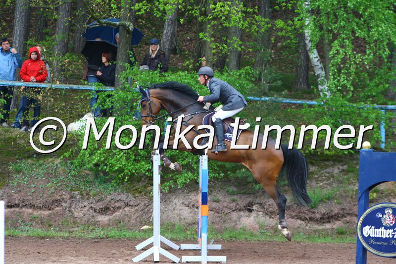 005L5296_JPs Calvaro_Spring M mit Stechen.JPG